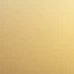 World of Cricket : World Cup 2019