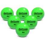 GoSports 2.8″ Weighted Training Baseballs | Hitting & Pitching Training for All Skill Levels | Improve Power and Mechanics