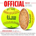 Franklin Sports Official Size Softballs – 12″ Softballs – Slowpitch + Fastpitch Softballs – Great for Practice + Training – Official Size + Weight – 4 Pack