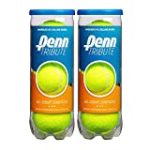 Penn Tribute Tennis Balls – All Courts Felt Pressurized Tennis Ball – 2 Cans, 6 Balls
