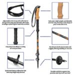 Cascade Mountain Tech Trekking Poles – Aluminum Hiking Walking Sticks with Adjustable Locks Expandable to 54″ (Set of 2)