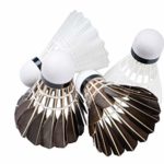 OutdoorsyJimmy Complete Badminton Sets for Backyards – Premium Set Includes Badminton Rackets Set of 4, Portable Badminton Net with Expandable Poles, 4 Birdies/Shuttlecocks & Storage Travel Bag