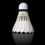 KEVENZ Goose Feather Badminton Shuttlecocks with Great Stability and Durability, High Speed Badminton Birdies-White