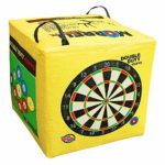 Morrell Double Duty 450 FPS 4 Sided Cube Field Point Archery Bag Target with Traditional Bullseyes, Nine-ball, Dartboard Game, and Deer Vitals, Yellow