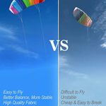 Kite 1.4m Easy To Fly Kiteboarding Dual Line Stun Control Bar Adults Giant Rainbow Paragliders Kitesurfing Parafoil Kites Prism Efoil Foil Hydrofoil Kite Wing Quad Trainer Gaypride Power Flying