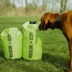Roscoe + Izzy The Dry Spell. (Green, 20L) Waterproof roll-top Bag/Sack for Camping, Canoeing, Boating, and Any time You Worry About The Wet ruining Your Adventure