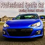 Professional Sports Car Gears in Then Drives Away from the Pits
