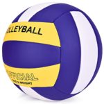 DAKAPAL Volleyball Official Size 5, Professional Volley Ball, PU Leather Soft Volleyballs for Indoor and Outdoor Beach Game Training Gym, for Kids Adults Beginners, deflated, No Pump