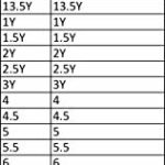 chassé Ace II Cheerleading Shoes – White Cheer Shoes for Girls