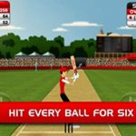 Stick Cricket