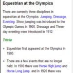 Equestrian Event At Olympics