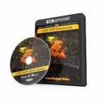 Spears & Munsil UHD HDR Benchmark (UHD Blu-ray Disc)