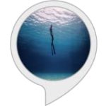 big blue freediving advanture