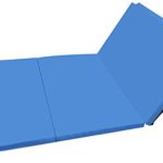 BalanceFrom GoGym All-Purpose 4’x10’x2 Inch Extra Thick High Density Anti-Tear Gymnastics Gym Folding Exercise Aerobics Mats (Blue)