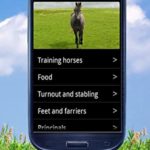 Good Horsemanship: Equestrian