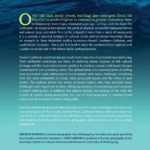 Surfing Places, Surfboard Makers: Craft, Creativity, and Cultural Heritage in Hawaii, California, and Australia