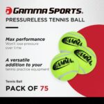 GAMMA Sports Pressureless Tennis-Balls Box, Bulk Tennis Balls, Premium Tennis Accessories, Pack of 75