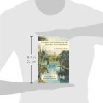 Canoeing and Camping on the Historic Suwannee River: A Paddler’s Guide