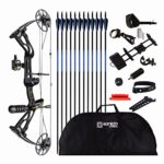 Sanlida Archery Dragon X8 RTH Compound Bow Package for Adults and Teens,18”-31” Draw Length,0-70 Lbs Draw Weight,up to IBO 310 fps,No Bow Press Needed,Limbs Made in USA,Limited Life-time Warranty