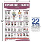 Functional Institutional/Home Gym Poster/Chart- Basics – Functional Trainer Posters, Functional Exercises, Adjustable Pulley Gym Posters, Workout … Trainer Charts, Fitness Charts, Physio Gym