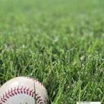 Baseball: A Guide on How to Train and Improve Your Game