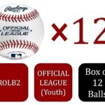 Rawlings | Official League Recreational Use Practice Practice Baseballs | ROLB2 | Youth/12U | 12 Count
