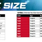 Rawlings Remix Series Youth Tball/Baseball Glove, Left Hand Throw, Pink/Blue/White, 9 Inch (Ages 3-5) (AMAREM91P-0/6)