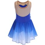 Figure Skating Dress for Girls Sequin Flower Mesh Ice Skating Dress Ballet Dance Leotard Dress Chiffon Skirted Ballerina Dancewear for Competition Stage Performance Costume Royal Blue 11-12 Years
