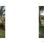 Jeff Divine: 70s Surf Photographs