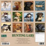 Willow Creek Press Hunting Labs Monthly 2024 Wall Calendar (12″ x 12″)