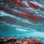 DIVE LOG BOOK: Scuba Diving Waterproof Notebook | Scuba Diving Logbook For Beginner 119 Pages For Training Waterproof | Scuba Diving Gift.