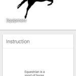 StuartFerguson Equestrian