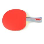 Butterfly 401 Table Tennis Racket Set – 1 Ping Pong Paddle – 1 Paddle Case – ITTF Approved Table Tennis Paddle – Ships in Ping Pong Racket Gift Box, Multi, B401FL