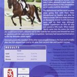 Equestrian Events Of The 2008 Beijing Olympic Games: Dressage… [DVD]