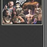 Limitless Wrestling 2024 Almanac