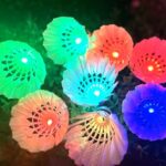 Inngree LED Badminton, [10 Pack] Colourful Shuttlecock Dark Night Goose Feather Glow Birdies Lighting Outdoor Indoor Sport Activities(10PCS)