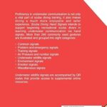 Scuba Diving Hand Signals: Pocket Companion for Recreational Scuba Divers – Black & White Edition