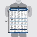 Palace Learning Dumbbell Workout Exercise Poster – Free Weight Body Building Guide | Home Gym Chart – LAMINATED, 18″ x 24″