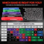 WODFitters Pro Series Pull-Up Assistance Bands – Premium Resistance Loop Bands for Assisted Pull Ups, Muscle Ups, Strength Training & Mobility – Durable Band for Functional Fitness Green